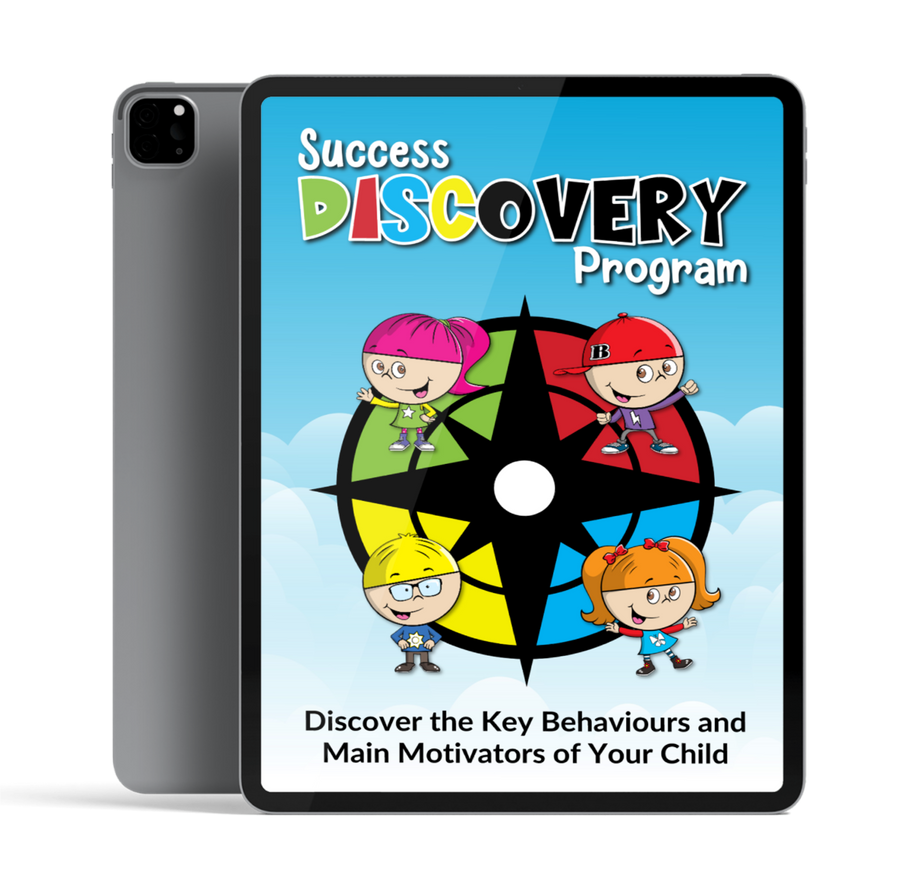 Success Discovery Program<br>Single Plan